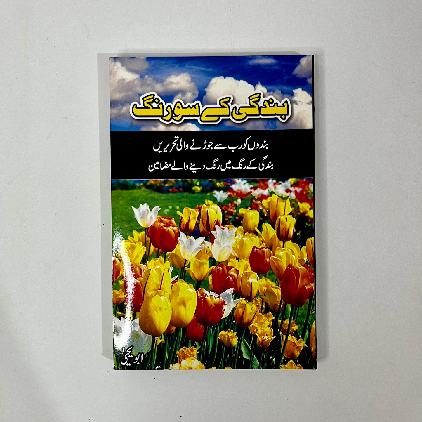 Zindagi Ke So Rang by Abu Yahya