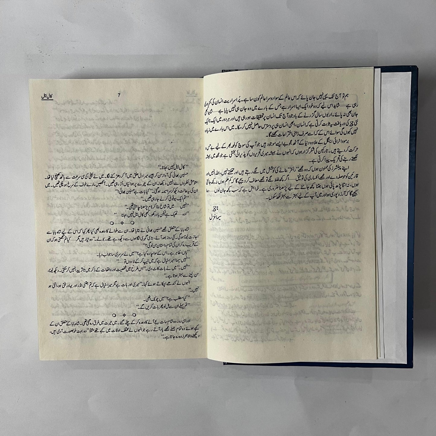 Call Bell by Seema Ghazal