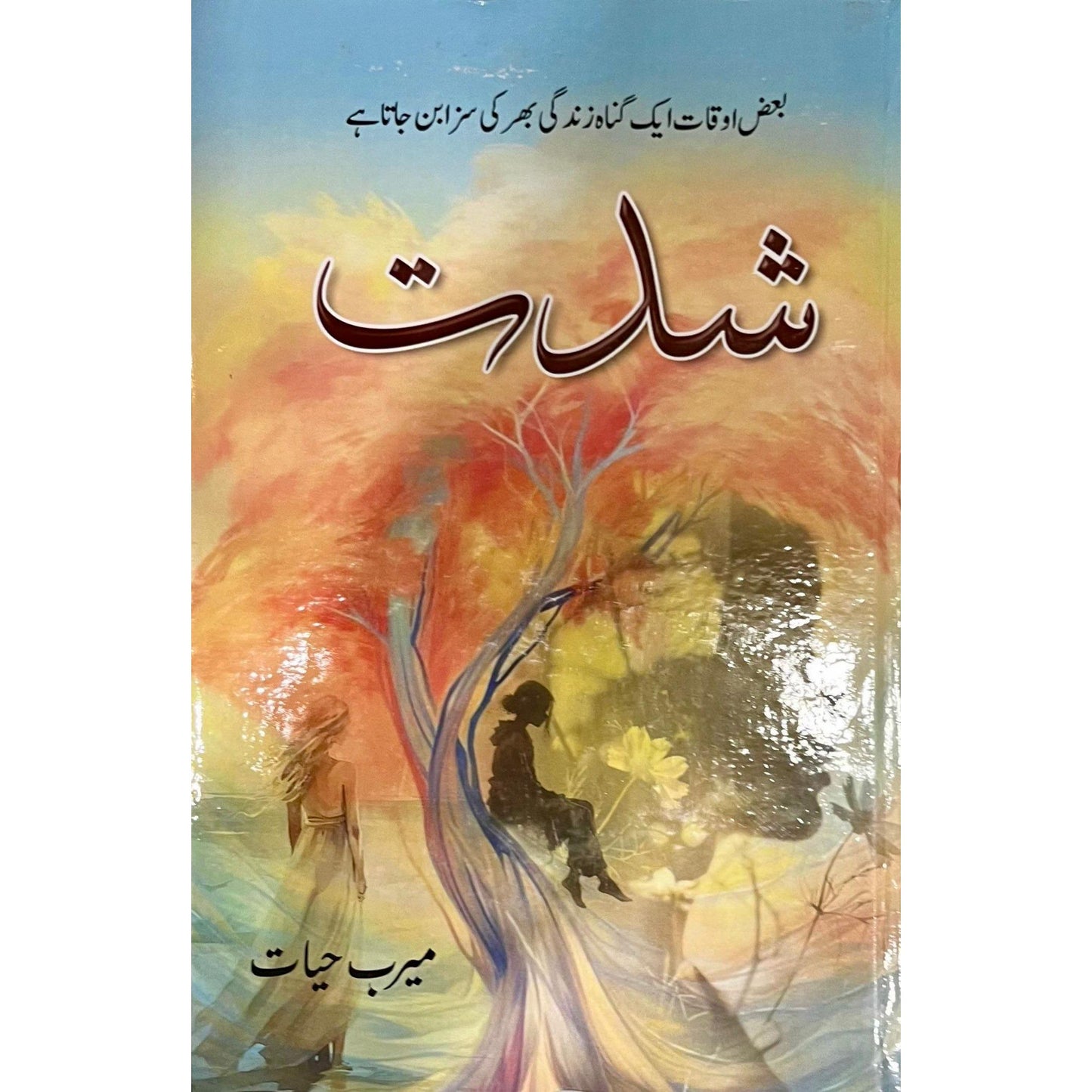 Shiddat by Meerab Hayat -2 Part Complete Set