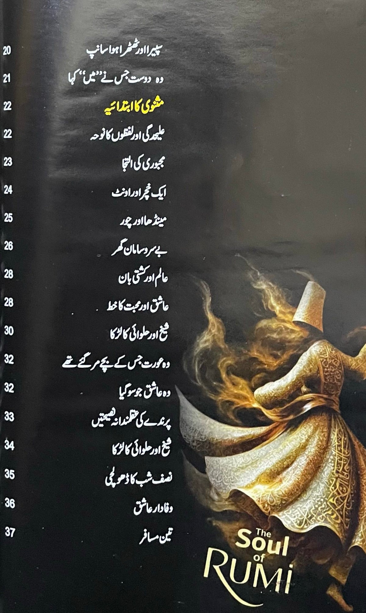 Romi Rooh by Philip Dunn