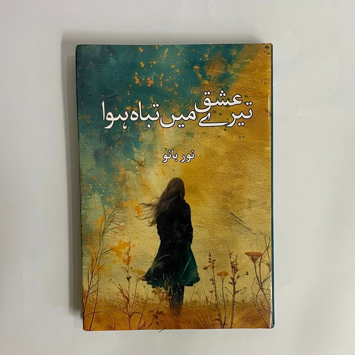 Tere Ishq Mein Tabah Hova by Noor Bano