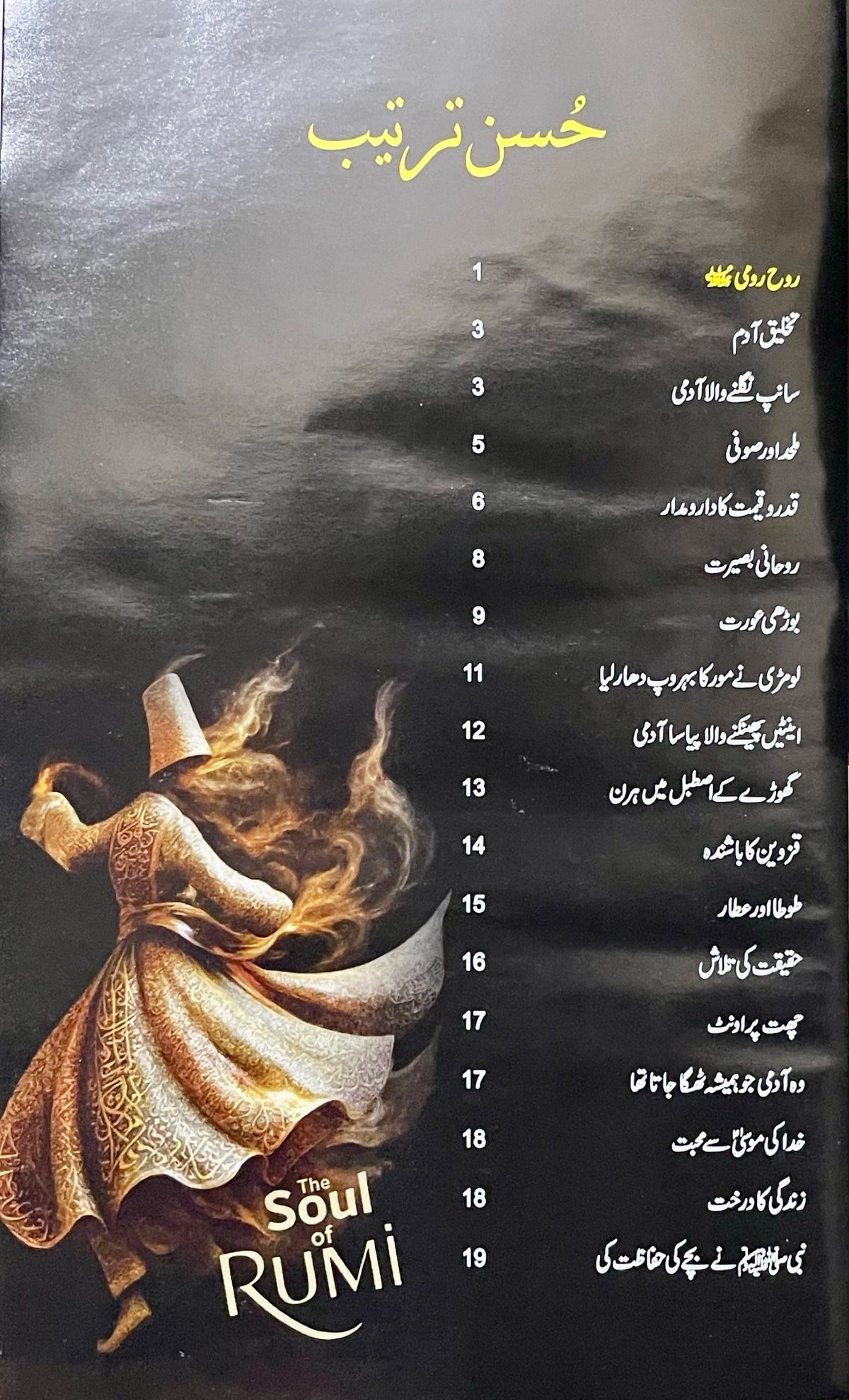 Romi Rooh by Philip Dunn