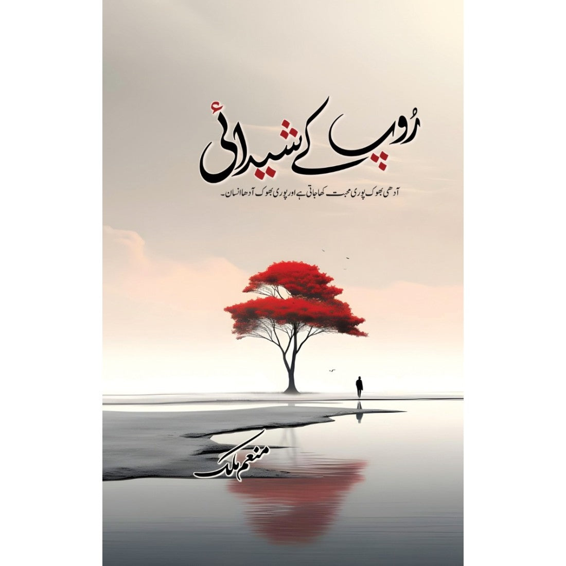 Roop Ke Shedai by Munam Malik