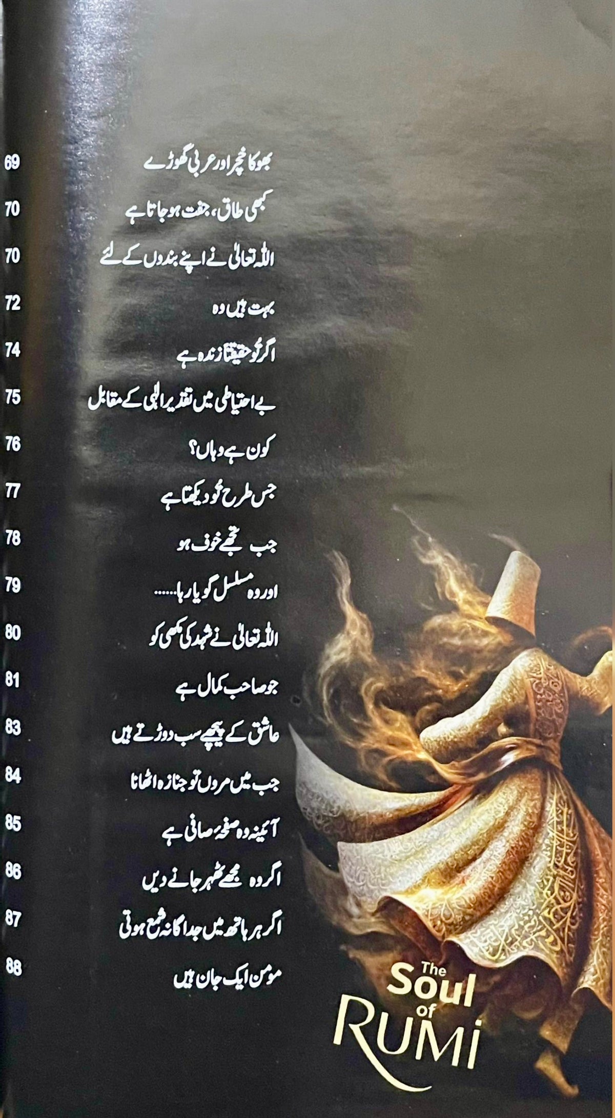 Romi Rooh by Philip Dunn
