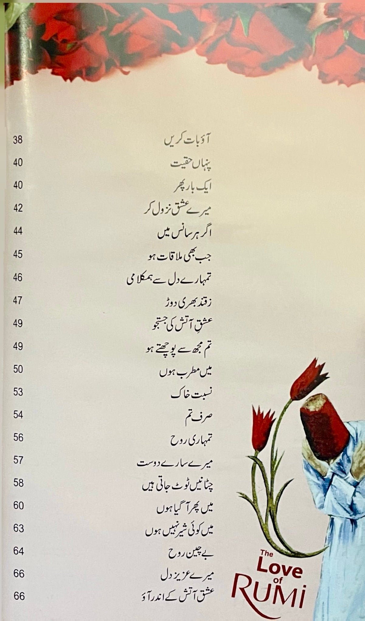 Rumi Ishq by Nader Khalili - The Love Of Rumi Urdu Edition