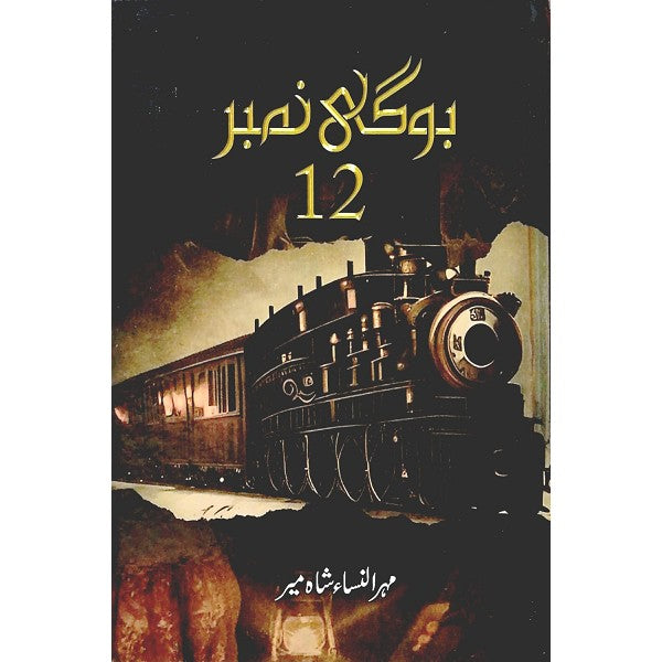 Bogi Number 12 by Mehr Ul Nisa Shahmeer