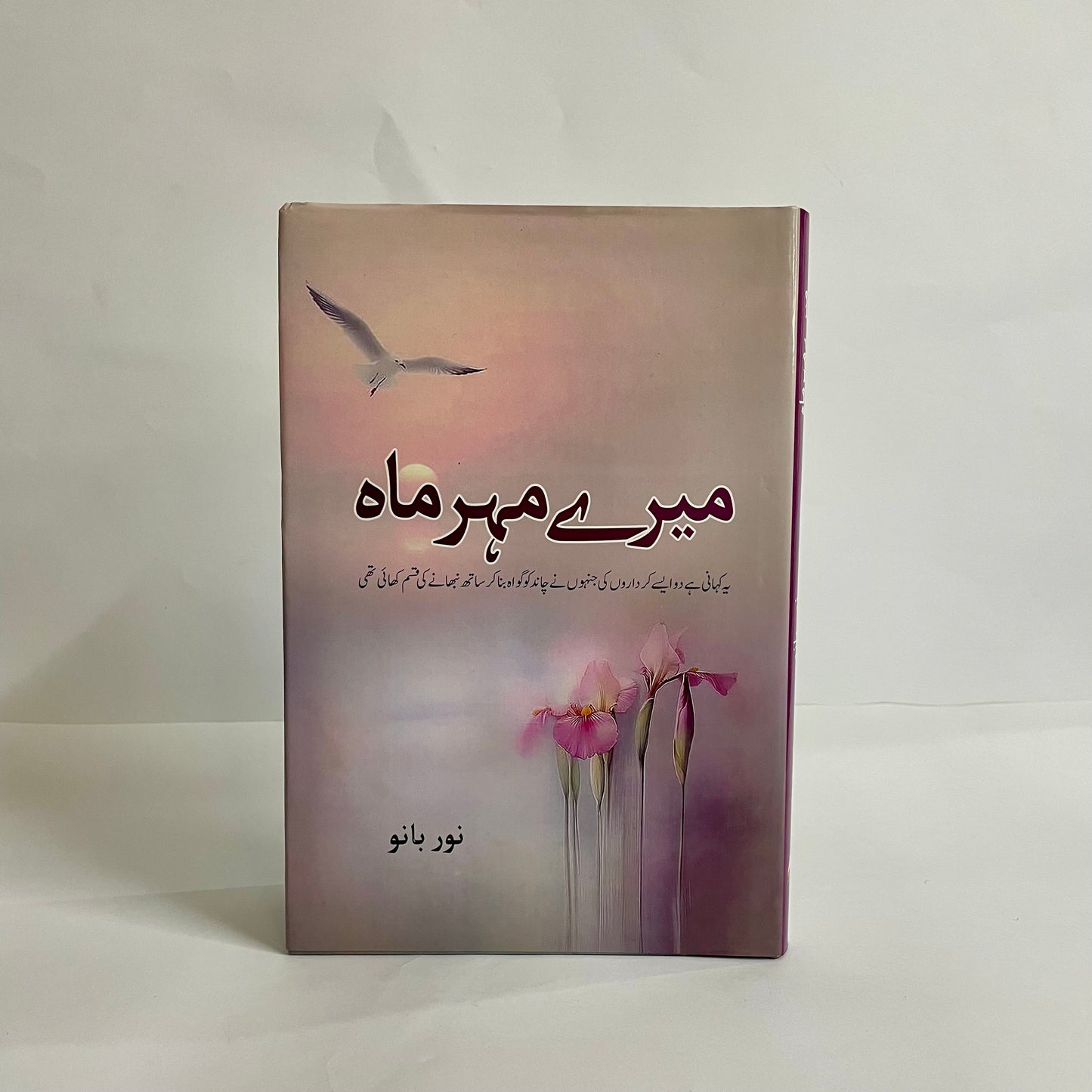 Mere Mehr Mah by Noor Bano