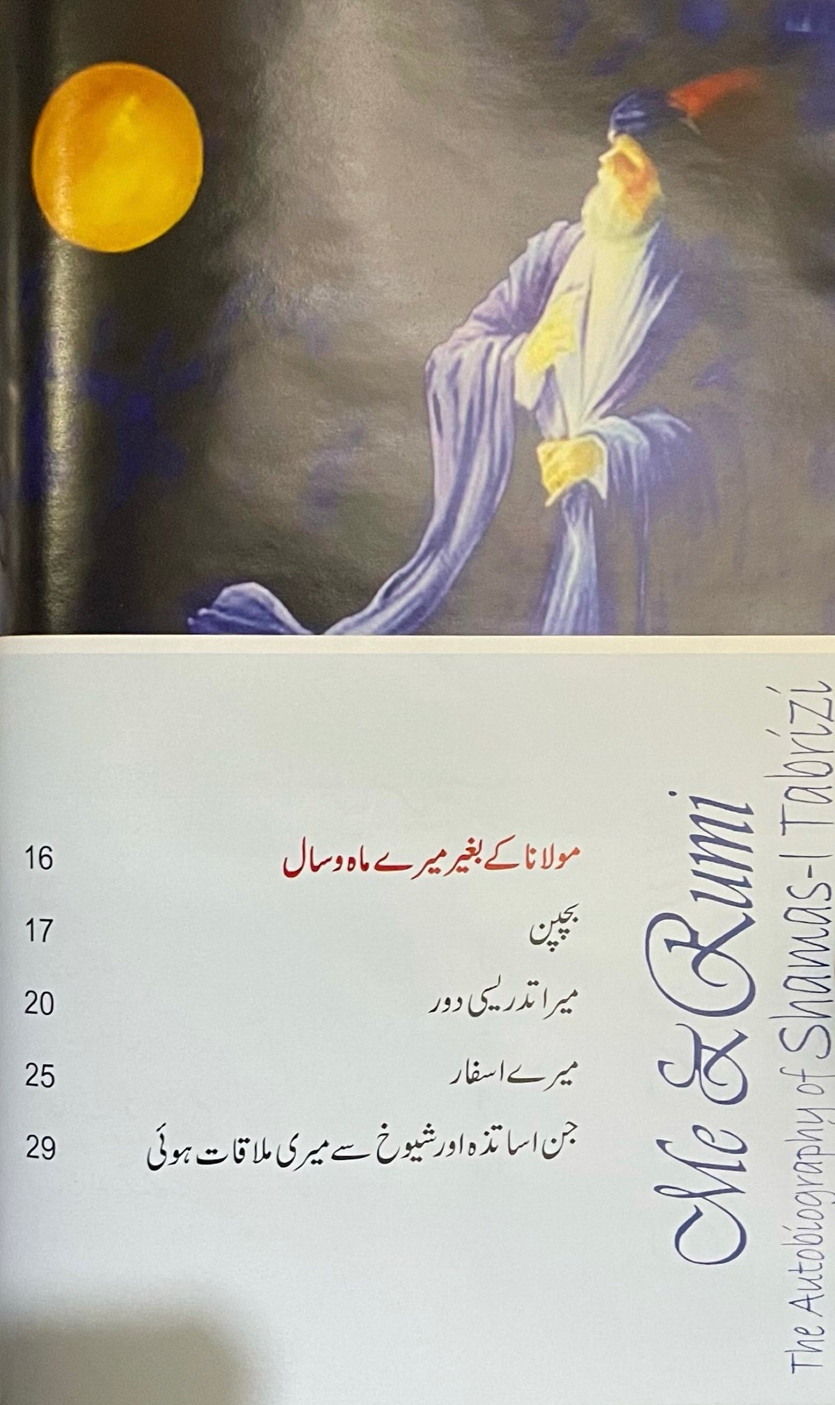 Mein Aur Rumi by William C. Chittick