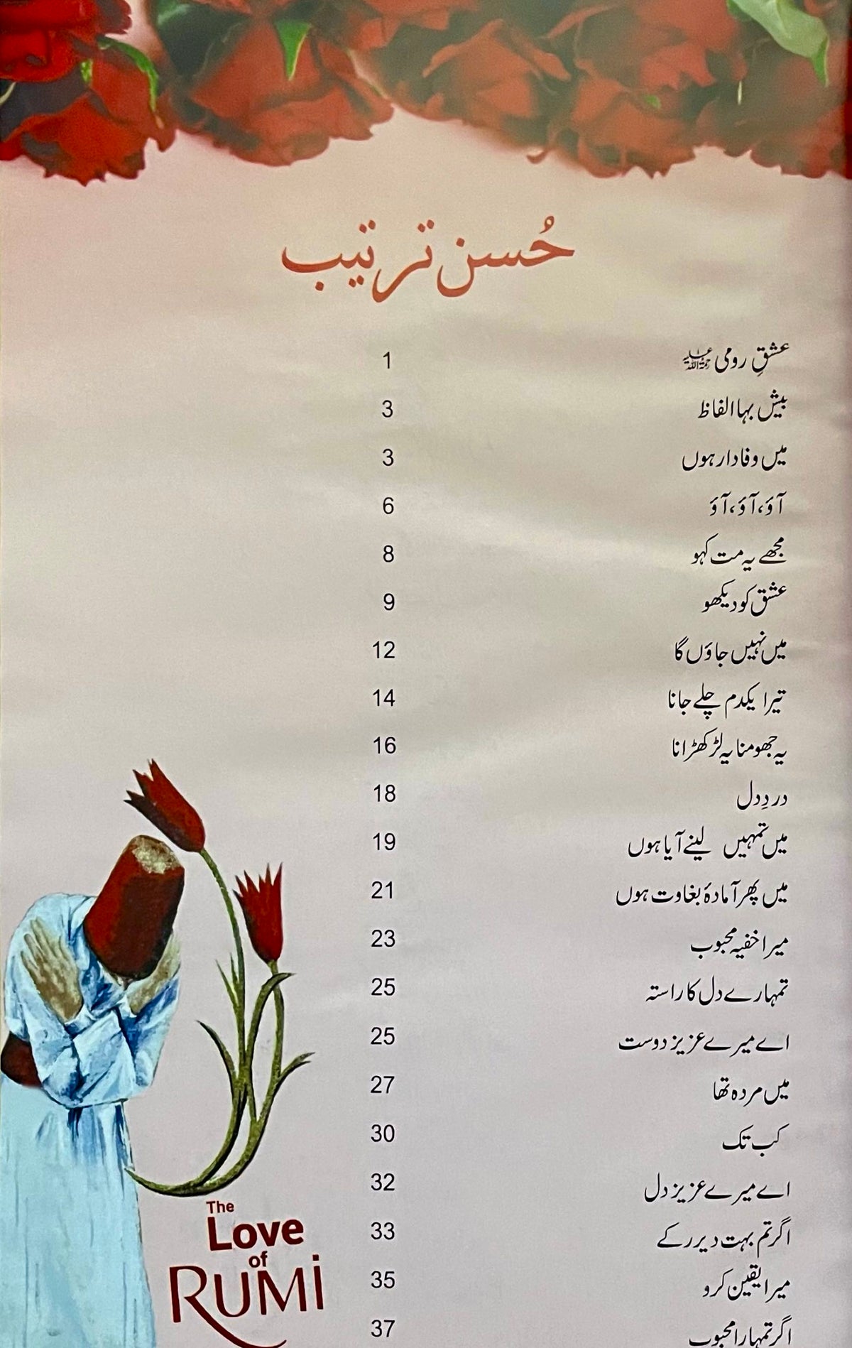 Rumi Ishq by Nader Khalili - The Love Of Rumi Urdu Edition