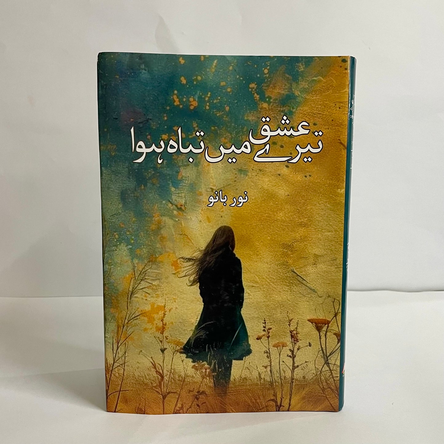 Tere Ishq Mein Tabah Hova by Noor Bano