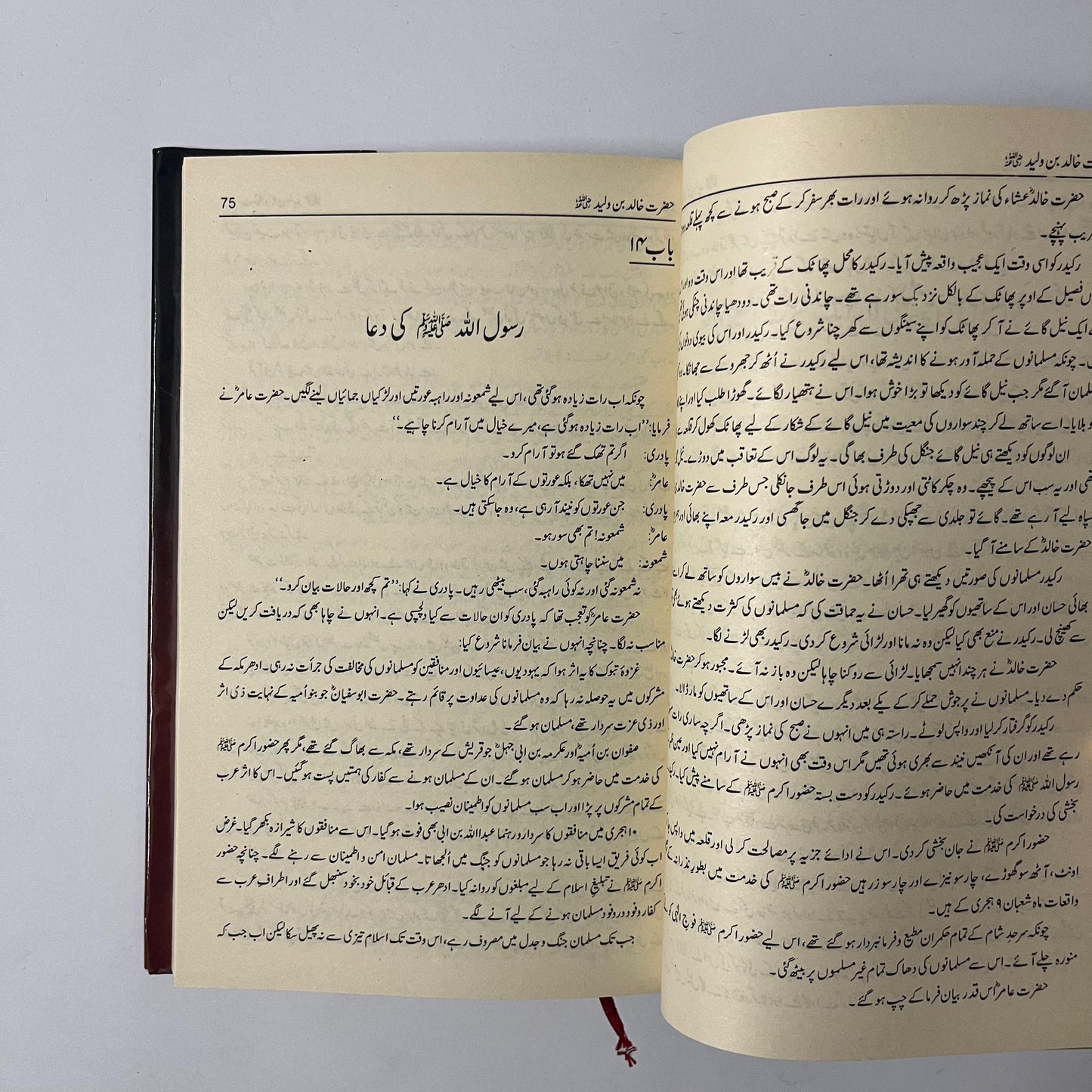 Seerat Khalid Bin Waleed R.A by Sadiq Hussain Siddiqui